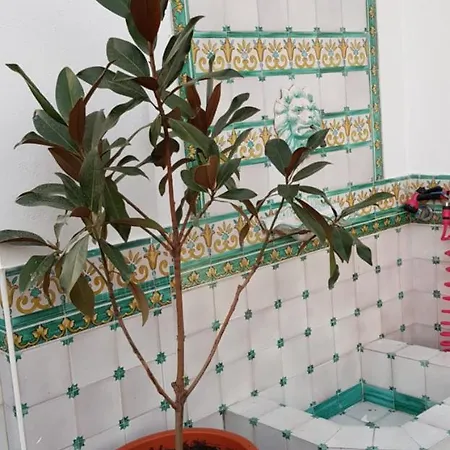 Lux - Sierpes Terrace * Sevilla